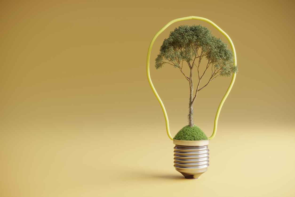 A tree inside an abstract lightbulb, symbolizing sustainable energy. (3d render)